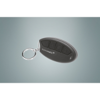 Schlüsselbundfernbedienung Alarm