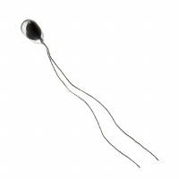 Honeywell SPS 112 402ECG B02 Temperatuursonde