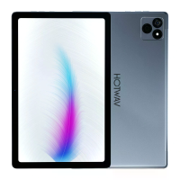 HOTWAV Pad 8 UNISOC T606 Octa Kern 8GB RAM+8GB Virtueel Geheugen 256GB ROM 4G LTE 10.4 Inch 2K Scherm Android 13 Tablet
