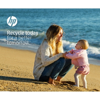 HP 304 originele zwarte inktcartridge (N9K06AE)