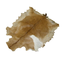 HSM Collection vloerkleed geitenhuid   naturel   Leen Bakker