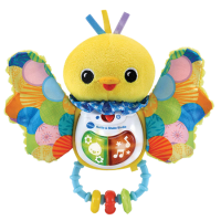 VTech Rattle & Shake Birdie