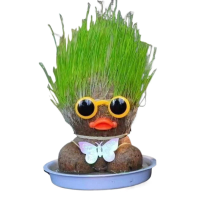 Figure Plants™   Leer planten verzorgen    Thuis Decoratie Planten Groen Gras Eend | Educatief Speelgoed