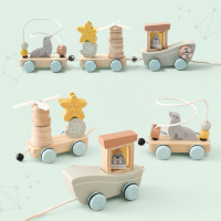 Color Spring– Spelend & Ontwikkelend – Sensorisch Houten Babyspeelgoed Zeehondentrein | Educatief Speelgoed