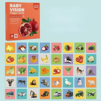 VisionBook – Educatief & Leerzaam – Baby Cognitie Kaartenboek 12 36 maanden | Educatief Speelgoed