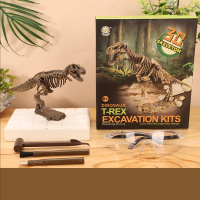 DinoDig – Spannend en leerzaam – Fossielenopgravingsset T rex | Educatief Speelgoed