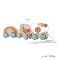 TrainCount –  Klassiek & Educatief – Houten Montessori Trein Regenboogtrein | Educatief Speelgoed