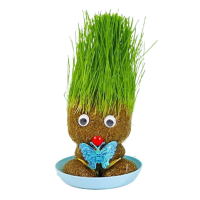 Figure Plants™   Leer planten verzorgen    Thuis Decoratie Planten Groen Gras Vlinder | Educatief Speelgoed