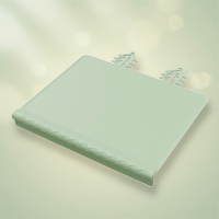 BabySafe – Praktisch & Hygiënisch – Siliconen Placemat met Opstaande Rand Groen | Educatief Speelgoed
