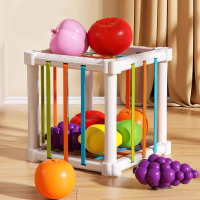 Fruit Box™   Snijden, Spelen, Leren   Fruit in box | Educatief Speelgoed