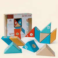 MagPlayer – Creatief & Motorisch – DIY Houten Magnetische Bouwblokken Uitgebreid (14 stuks) | Educatief Speelgoed