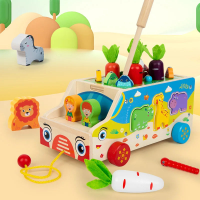 Montessori Animal Matching Toy – Leerzaam & Interactief – Puzzel Speelwagen | Educatief Speelgoed