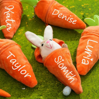 Personalized Bunny – Ultiem Paascadeau   Pluche wortelkonijn met naam | Educatief Speelgoed