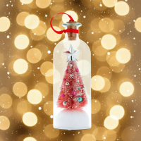 MagicBottle – Christmas & Keepsake – Kerstboodschap Fles Rood | Educatief Speelgoed