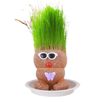 Figure Plants™   Leer planten verzorgen    Thuis Decoratie Planten Groen Gras Punk | Educatief Speelgoed