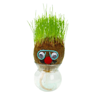 Figure Plants™   Leer planten verzorgen    Thuis Decoratie Planten Groen Gras Bril | Educatief Speelgoed