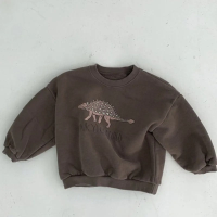 Mini Fashion™   Leuke Dinosaurus Print   Dino Sweater Bruin / 90 (2 jaar) | Educatief Speelgoed