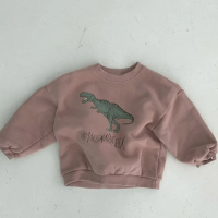 Mini Fashion™   Leuke Dinosaurus Print   Dino Sweater Roze / 130 (6 jaar) | Educatief Speelgoed