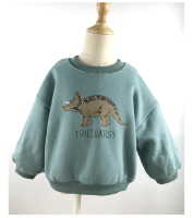 Mini Fashion™   Leuke Dinosaurus Print   Dino Sweater Groen / 130 (6 jaar) | Educatief Speelgoed