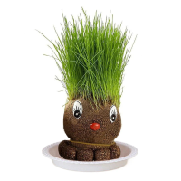Figure Plants™   Leer planten verzorgen    Thuis Decoratie Planten Groen Gras Mol | Educatief Speelgoed