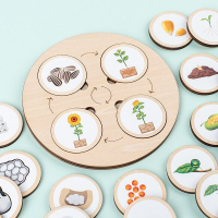 Woods™   Leer de levenscyclus ontdekken!   Houten puzzel | Educatief Speelgoed
