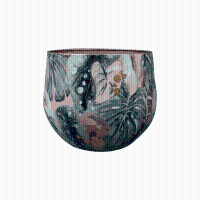 Pot Monstera Mystery
