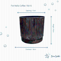 Pot Nella coffee