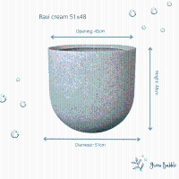 Pot Ravi creme