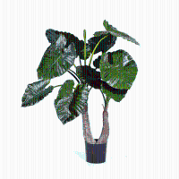 Alocasia Calidora Kunstplant   100 cm