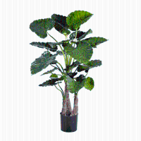 Alocasia Calidora Kunstplant   120 cm