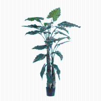 Alocasia Calidora Kunstplant   180 cm