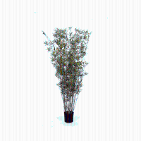 Kunst bamboe Oriental   100 cm