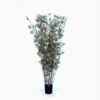 Kunst bamboe Oriental   220 cm