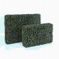 Buxus kunsthaag   55 cm
