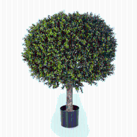 Buxus bol op stam kunstplant   100 cm