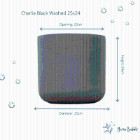 Pot Charlie Black Washed