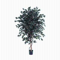 Kunstplant Ficus Exotica   180 cm