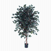Ficus Exotica kunstplant   240 cm