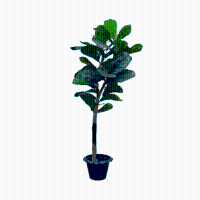 Kunst Ficus Lyrata op stam   150cm