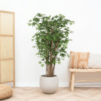 Kunst Acer   150cm