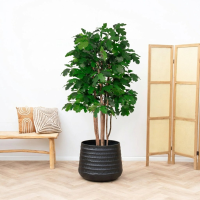 Kunst Oak tree   140cm