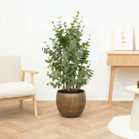 Kunst Eucalyptus green   120cm
