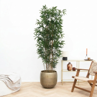 Kunst Bamboe   210cm