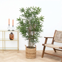 Kunst Bamboe   144cm