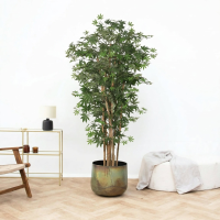 Kunst Acer palmatum   180cm