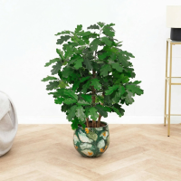 Kunst Oak tree   90cm