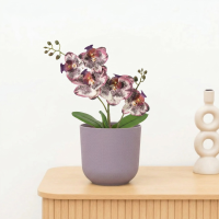 Kunst Phalaenopsis orchid purple   41cm