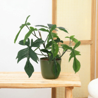 Kunst Philodendron Florida   44cm