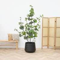 Kunst Eucalyptus green   86cm