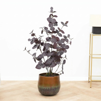 Kunst Eucalyptus purple   86cm
